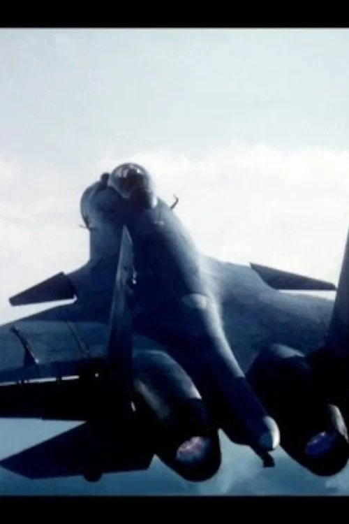 Постер: Форсаж (2001) Смотреть Онлайн